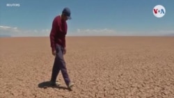 Lagos y lagunas se secan por el impacto del cambio climático en Bolivia