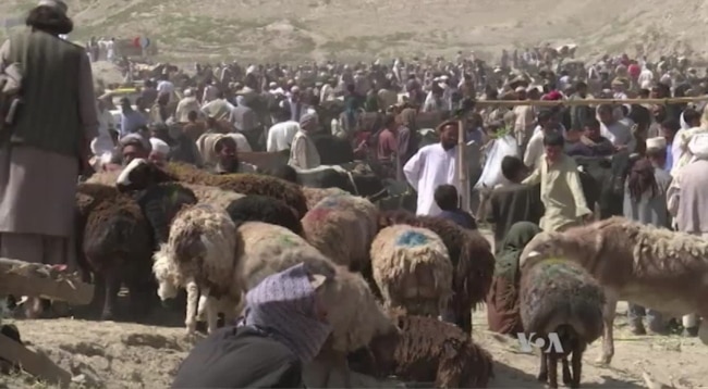 Hard Times Force Modifications of Muslim Holiday Traditions