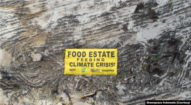 Kampanye yang dilakukan sejumlah aktivis lingkungan terkait kritik terhadap proyek lumbung pangan di Kalimantan Tengah, Kamis 11 November 2022. (Courtesy: Greenpeace Indonesia)