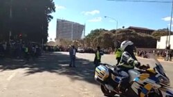 Thousands March in Support of President Mugabe