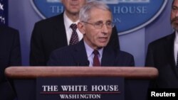 美国国立卫生院旗下的国立过敏与传染病研究院主任弗契（Anthony Fauci）在2020年1月31日于美国华盛顿白宫举行的新闻发布会上向记者介绍了特朗普政府为应对中国冠状病毒疫情所做的努力。