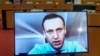 Олексій Навальний під час відеовиступу перед депутатами Європейського парламенту 27 листопада 2020 р.