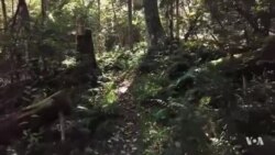 a3bd8e2b-489e-43e0-a646-34dc6cc9e500.mp4