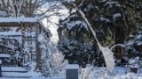 Snow covers the yard of a home in the Grant Park neighborhood of Portland, Oregon, Feburary 23, 2023. (AP Photo/Drew Callister)