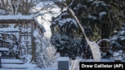 Snow covers the yard of a home in the Grant Park neighborhood of Portland, Oregon, Feburary 23, 2023. (AP Photo/Drew Callister)