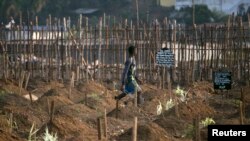 Cimetière de Freetown, 20 decembre 2014 