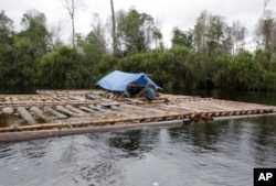 FILE - Allegedly illegal logs are moved downstream in Sungai Mangkutub, Central Kalimantan, Indonesia, Jan. 7, 2016. Illegal deforestation is among the threats facing indigenous forest land in Indonesia.