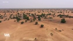 Le confinement appauvrit les éleveurs nomades sénégalais