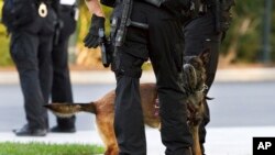 A Belgian Malinois dog, part of the Secret Service’s K-9 unit used for security at the White House, greets members of the Secret Service police on the North Lawn of the White House, Oct. 24, 2014, in Washington. 