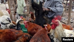 Un vendeur kényan vend des poulets sur le marché de Nairobi, Kenya, le 19 octobre 2005. (Photo d'illustration).