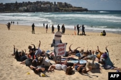 Para peselancar, perenang, penyelam, dan pencinta hiu, serta komunitas berkumpul di Pantai Bondi, membentuk kura-kura raksasa memprotes kerusakan habitat laut akibat jaring hiu di Sydney, 17 September 2017.