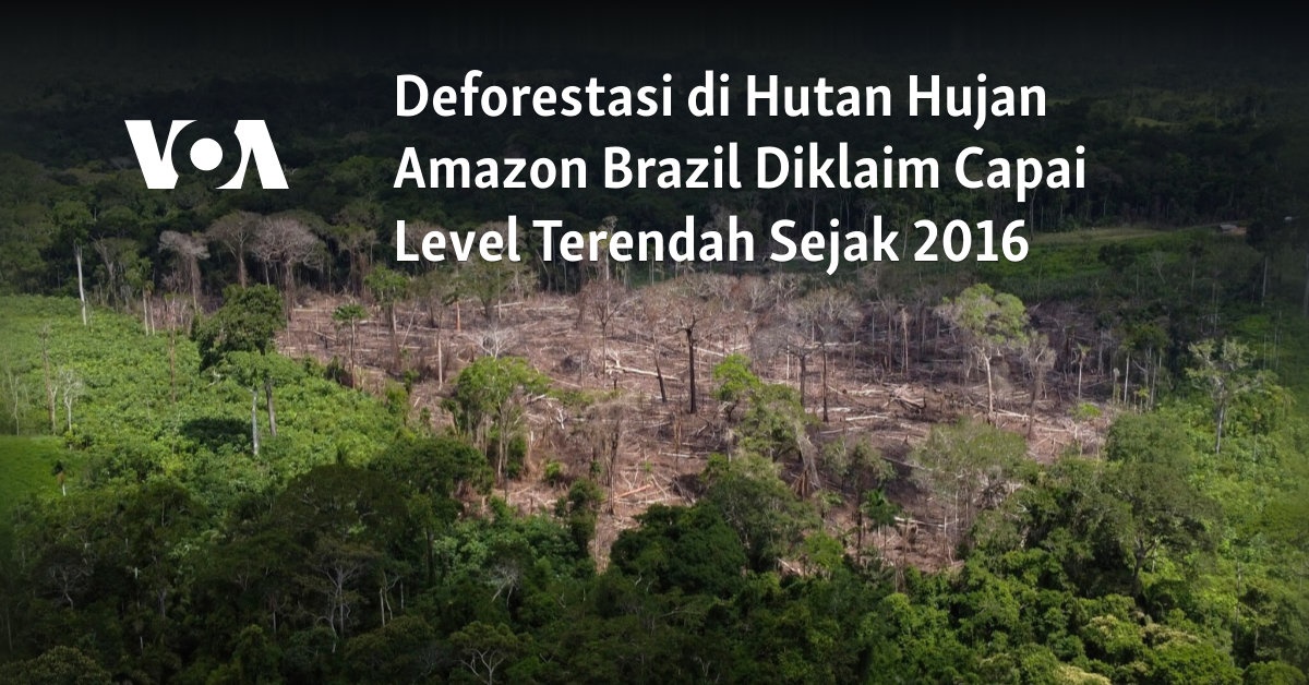 Deforestasi Di Hutan Hujan Amazon Brazil Diklaim Capai Level Terendah ...