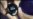 16x9 Image