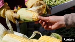 一位女士在北京一家早市挑選玉米。（資料照）