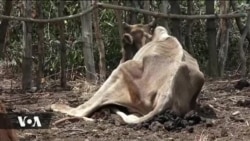 Wananchi zaidi ya milioni 2 Kenya wakabiliwa na njaa