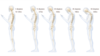 This chart shows the stress put on the neck and spine as a result of hunching over a smartphone (Courtesy Dr. Ken Hansraj M.D.)