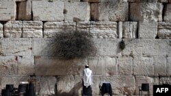 Seorang pria Yahudi berdoa di Tembok Barat, tempat paling suci dimana orang Yahudi dapat berdoa, di Kota Tua Yerusalem, 5 Februari 2016.
