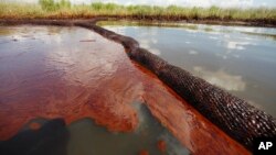 Dalam foto tertanggal 26/6/2010 ini tumpahan minyak dari Deepwater Horizon terlihat menggenangi Bay Jimmy di Plaquemines Parish, Louisiana.