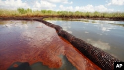 На Фото: Витік нафти з Deepwater Horizon у штаті Луїзіана 26 червня 2010 року.
