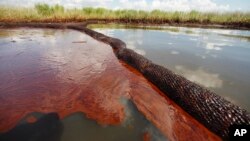 Trong bức ảnh chụp ngày 26/6/2010 cho thấy dầu từ vụ tràn dầu Deepwater Horizon trôi nổi trên mặt nước trong vịnh Jimmy ở Plaquemines Parish, Louisiana.