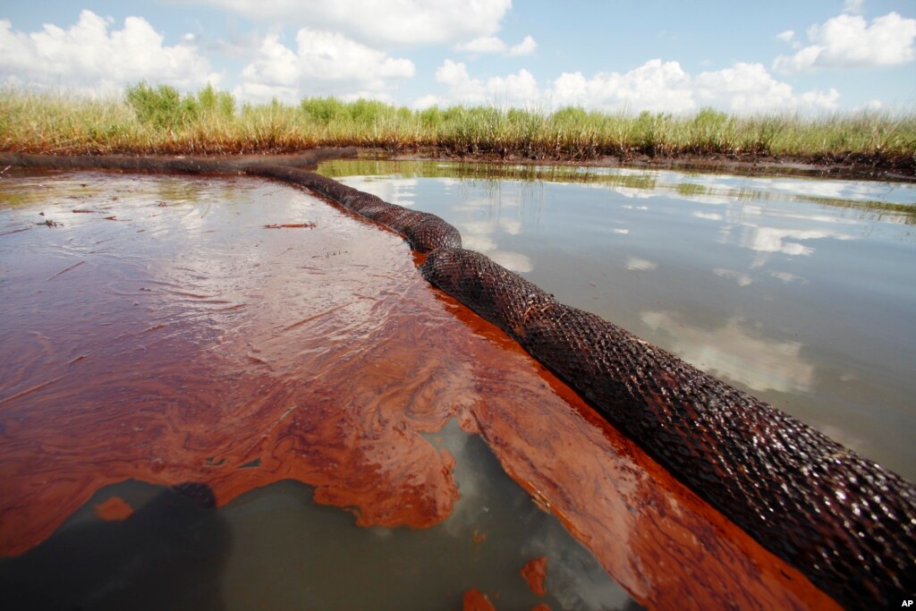 Microbes Could Help Clean Up Oil Spills