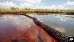 FILE - In this June 26, 2010 file photo, oil from the Deepwater Horizon oil spill is seen floating on the surface of the water in Bay Jimmy in Plaquemines Parish, La.