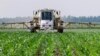 UN Committee Finds Weed Killer Glyphosate Unlikely to Cause Cancer