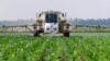 Photo à titre d'illustration uniquement: Un fermier pulvérise du glyphosate contre les mauvaises herbes dans son champ de maïs à Auburn dans l'Illinois le 1er juin 2010.