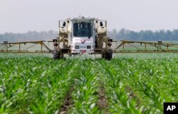 FILE - In this June 1, 2010 photo, central Illinois corn farmer Jerry McCulley sprays the weed killer glyphosate across his cornfield in Auburn, Ill.