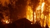Tres bomberos mueren en incendios en el oeste de EE.UU.