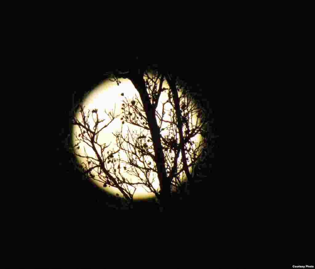 The first full moon of 2014 seen in Orange, California on Jan. 16, 2014 (Photo taken by Vu Ngoc Linh/VOA reader)