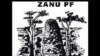 Zanu PF Mobilizes Party Base For Constitution Indaba