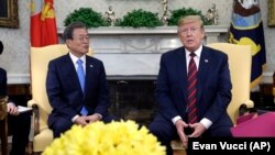 도널드 트럼프 미국 대통령이 11일 백악관에서 문재인 한국 대통령과의 정상회담에 앞서 발언하고 있다.