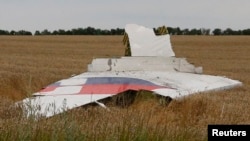 Ukraine -- A part of the wreckage of a Malaysia Airlines Boeing 777 plane is seen after it crashed near the settlement of Grabovo in the Donetsk region, July 17, 2014.