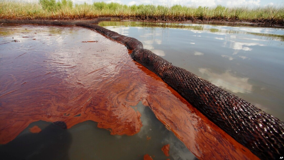 Dalam foto tertanggal 26/6/2010 ini tumpahan minyak dari Deepwater Horizon terlihat menggenangi Bay Jimmy di Plaquemines Parish, Louisiana.
