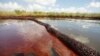 Microbes Could Help Clean Up Oil Spills 