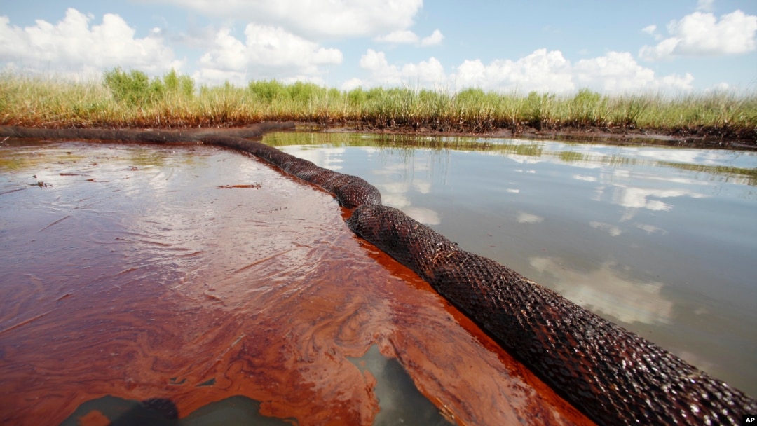 FILE - In this June 26, 2010 file photo, oil from the Deepwater Horizon oil spill is seen floating on the surface of the water in Bay Jimmy in Plaquemines Parish, La.