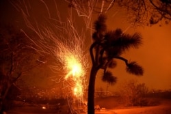 FILE - Winds blow flying embers from a burning tree at the Bobcat Fire in Juniper Hills, California, Sept. 19, 2020.