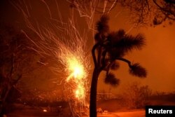 FILE - Winds blow flying embers from a burning tree at the Bobcat Fire in Juniper Hills, California, Sept. 19, 2020.