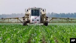 Photo à titre d'illustration uniquement: Un fermier pulvérise du glyphosate contre les mauvaises herbes dans son champ de maïs à Auburn dans l'Illinois le 1er juin 2010.