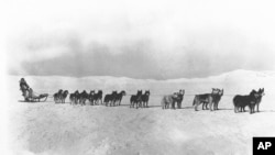 FILE - Leonhard Seppala and his sled dog team pictured on Oct. 12, 1928, in Alaska. In 1925, Seppala was part of the nearly 700-mile relay of mushers and dog teams to get diphtheria antitoxin to Nome, Alaska, during a deadly outbreak of the disease. 