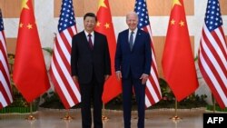 资料照片：美国总统拜登与中国国家主席习近平在印度尼西亚巴厘岛举行会晤。（2022年11月14日） 