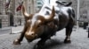 Wall Street Bull