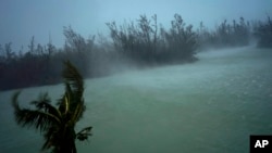 Strong winds from Hurricane Dorian blow the tops of trees and brush while whisking up water from the surface of a canal that leads to the sea, in Freeport, Grand Bahama, Bahamas, Sept. 2, 2019.