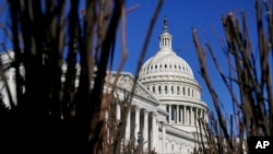 U.S. Capitol Congress