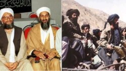 آمریکا ایران را به روابط پنهانی با القاعده متهم کرد