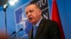 Erdogan Continues to Block NATO Bids of Sweden, Finland