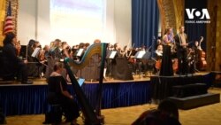 У Лос-Анджелесі відбувся благодійний симфонічний концерт місцевих музикантів, які виконали твори українських класиків. Відео