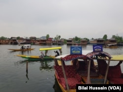 Scores of shikaras on Dal lake busy these day with tourists in Srinagar.