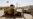 Iraqi Special Forces Retake Fallujah Government Building